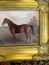 Load image into Gallery viewer, Equestrian Horse Canvas in Gilt Frame