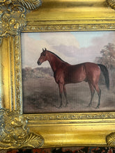 Load image into Gallery viewer, Equestrian Horse Canvas in Gilt Frame