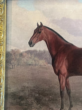 Load image into Gallery viewer, Equestrian Horse Canvas in Gilt Frame