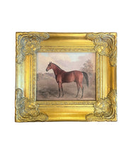 Load image into Gallery viewer, Equestrian Horse Canvas in Gilt Frame