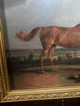 Load image into Gallery viewer, Gold Framed Horse Equestrian Picture