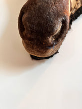 Load image into Gallery viewer, Antique Zebra Rug Taxidermy