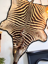Load image into Gallery viewer, Antique Zebra Rug Taxidermy