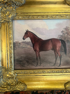 Equestrian Horse Canvas in Gilt Frame