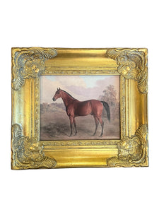 Equestrian Horse Canvas in Gilt Frame