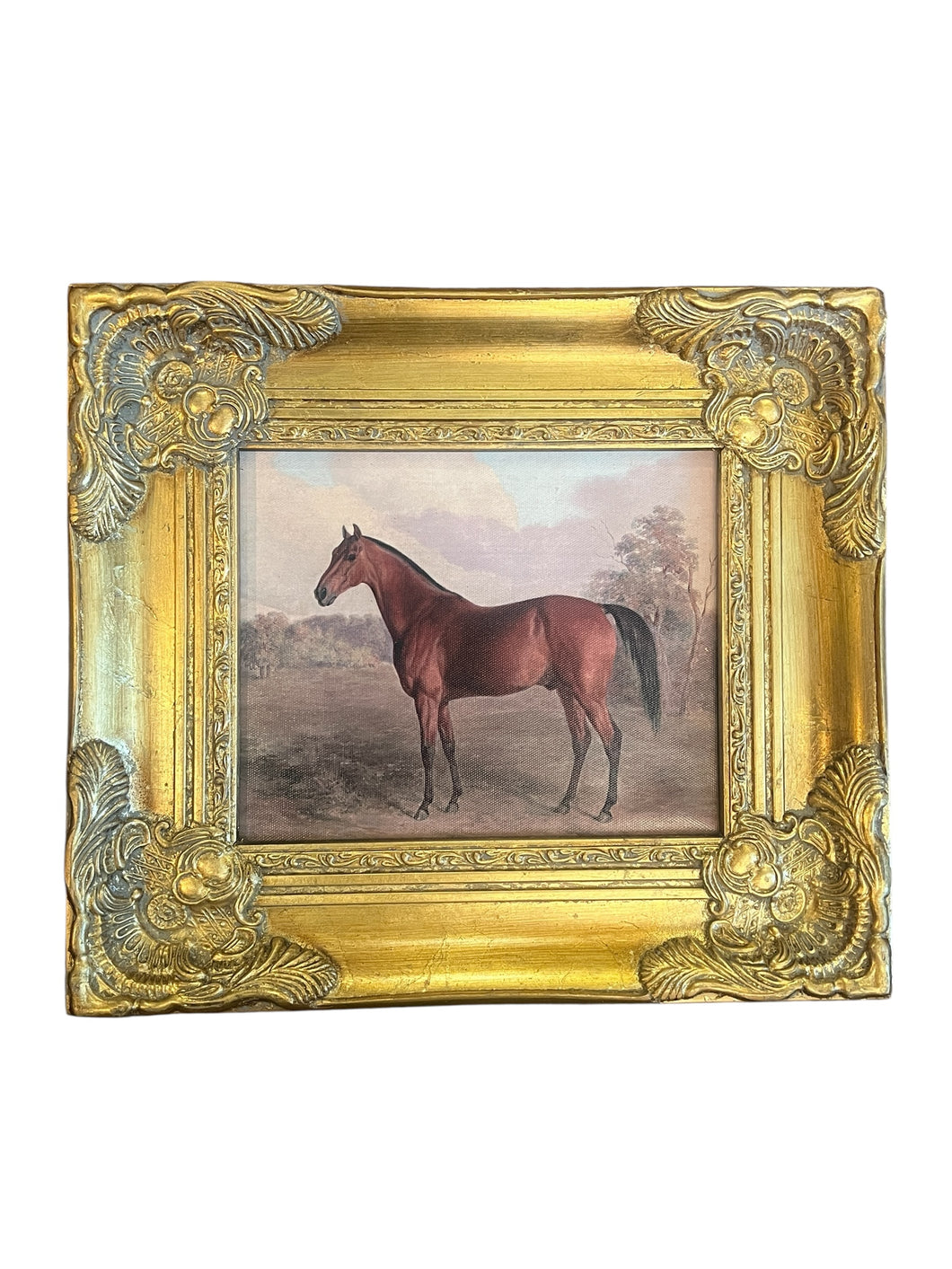 Equestrian Horse Canvas in Gilt Frame