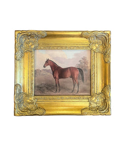 Equestrian Horse Canvas in Gilt Frame