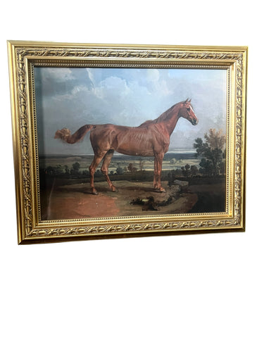 Gold Framed Horse Equestrian Picture