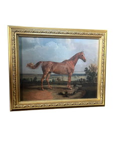 Gold Framed Horse Equestrian Picture