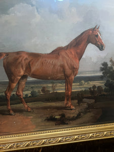 Gold Framed Horse Equestrian Picture