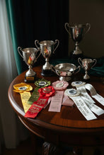Load image into Gallery viewer, Collection of Vintage Horse Show Ribbons
