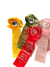 Load image into Gallery viewer, Collection of Vintage Horse Show Ribbons