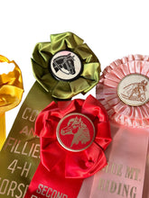 Load image into Gallery viewer, Collection of Vintage Horse Show Ribbons